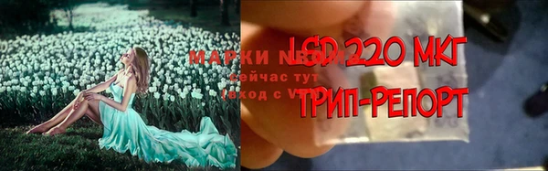тгк Касимов