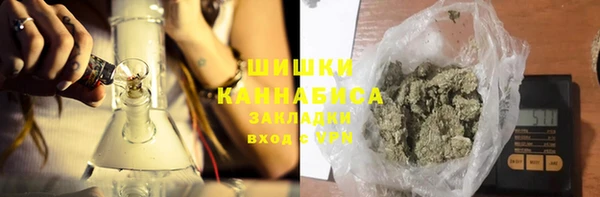 тгк Касимов