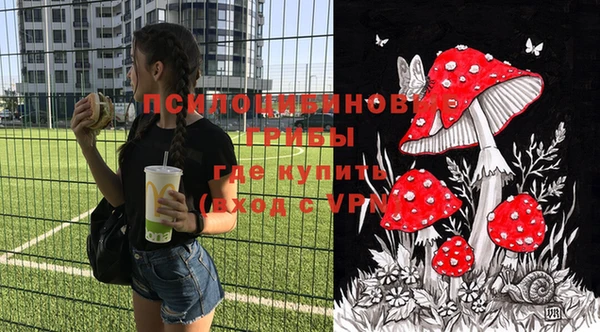 тгк Касимов