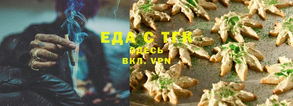 тгк Касимов
