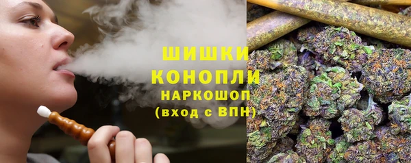 тгк Касимов