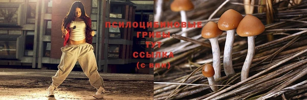 тгк Касимов