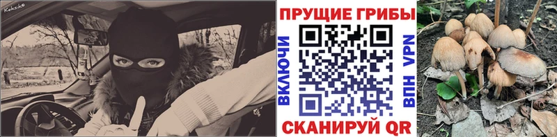 Купить где  Ейск  Псилоцибиновые грибы Psilocybine cubensis 